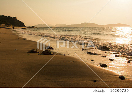 志賀島 志賀島 16200789