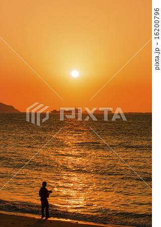 志賀島 16200796