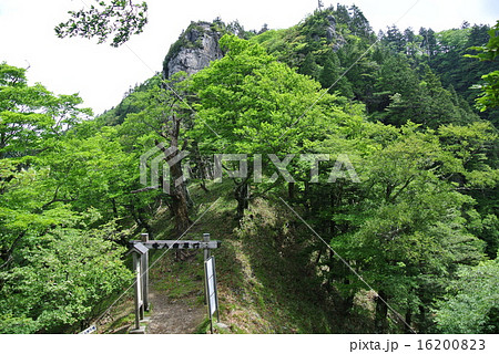 レンゲ辻女人結界門 レンゲ辻女人結界門 16200823