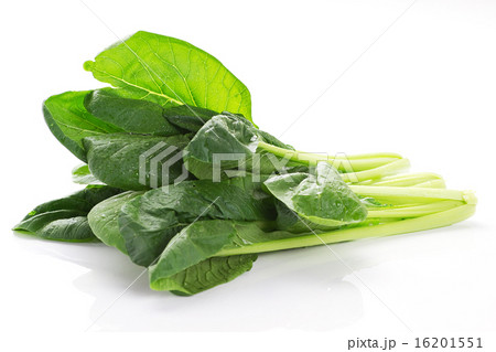 小松菜1 小松菜1 16201551