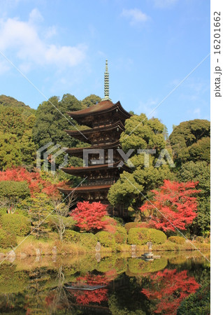 瑠璃光寺五重塔と紅葉 16201662