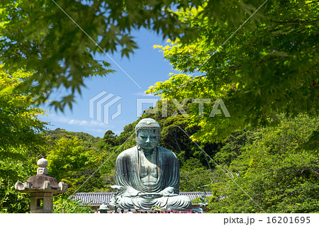 鎌倉大仏　 16201695