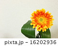 春夏のお花オレンジ色のガーベラのアレンジ 16202936