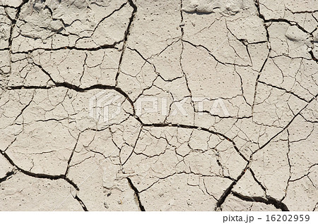 Dried ground - Hot Summer 16202959