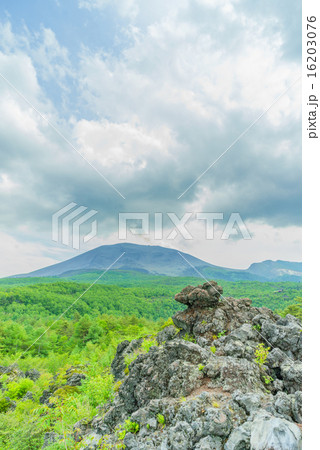 鬼押出し園からみた浅間山の風景 鬼押出し園からみた浅間山の風景 16203076