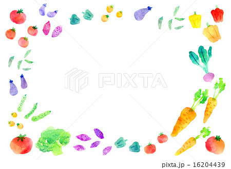 野菜フレーム ゆるめ横のイラスト素材 [16204439] - Pixta