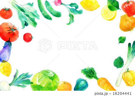 野菜フレーム 横のイラスト素材