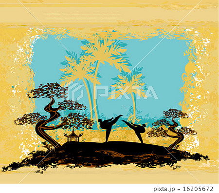 karate occupations - Grunge background 16205672