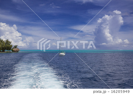 ボラボラ島 16205949