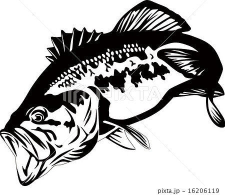 かっこいい 魚 イラスト 白黒