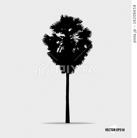 Tree silhouette. Vector illustration. Tree silhouette. Vector illustration. 16206658