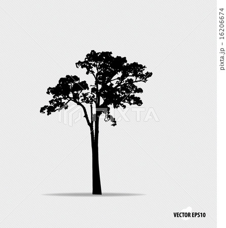 Tree silhouette. Vector illustration. 16206674