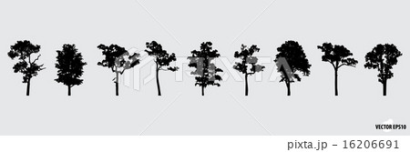 Set of tree silhouettes. Vector illustration. 16206691