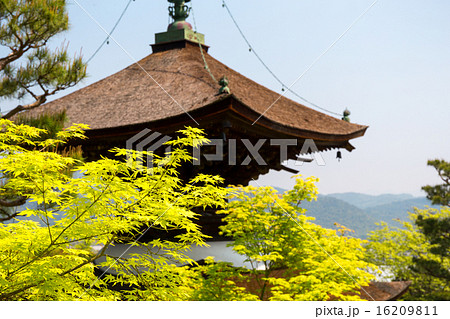 常寂光寺 - 新緑 常寂光寺 - 新緑 16209811