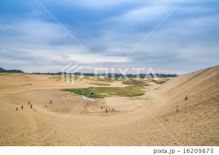 鳥取砂丘 16209873