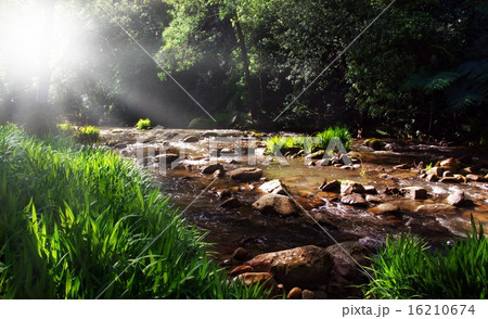 creek in sunshine creek in sunshine 16210674