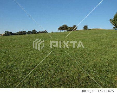 Primrose Hill London 16211675