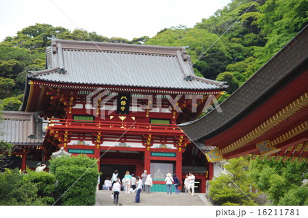 鶴岡八幡宮 16211781