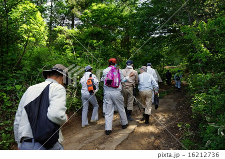 山道を歩く人 16212736