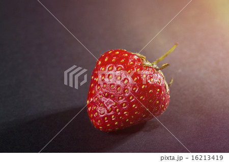 single strawberry with black background 16213419