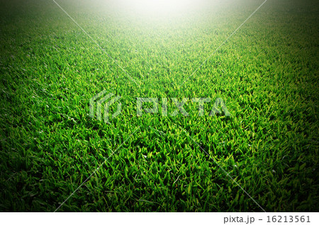 Green Glass in Thailand Green Glass in Thailand 16213561