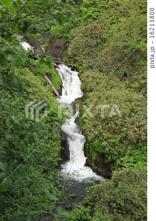 旭岳温線入口近くの「駒止の滝」 16213800