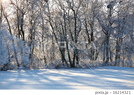 Winter Park 16214321