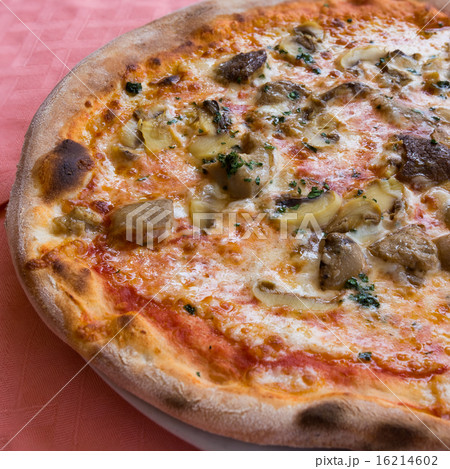 Mushrooms pizza half left side 16214602