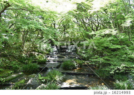 好古園 好古園 16214993