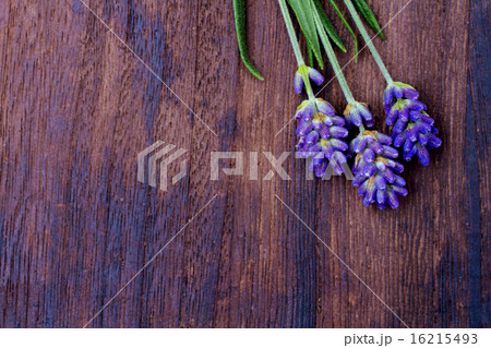 branches of a lavender branches of a lavender 16215493