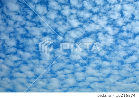 雲：うろこぐも 16216874