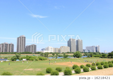 神奈川県・多摩川 16218421