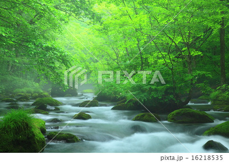 奥入瀬渓流　三乱の流れ 16218535