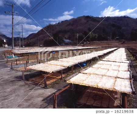 関西の冬の風物詩、猪名川町下阿古谷・阿古谷の寒天の寒日干し 関西の冬の風物詩、猪名川町下阿古谷・阿古谷の寒天の寒日干し 16219638