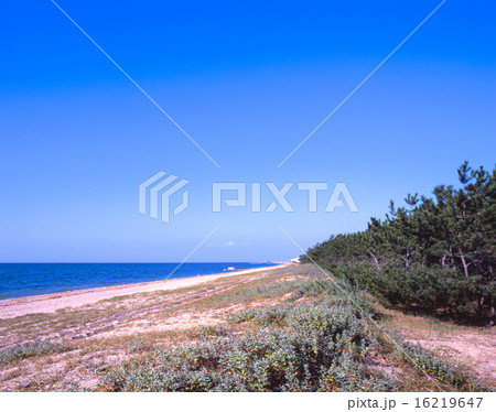 淡路島、慶野松原/「国指定名勝」「日本の白砂青松100選」「日本の夕陽百選」「日本の渚百選」 16219647