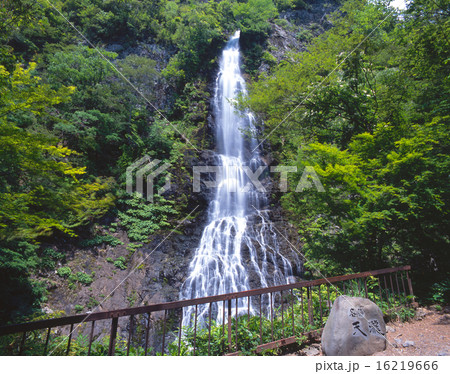 天滝（落差約100m)/「日本の滝100選」/「氷ノ山後山那岐山国定公園」/森林浴の森100選 16219666