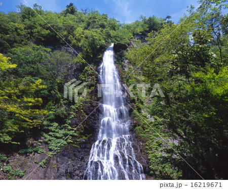 天滝（落差約100m)/「日本の滝100選」/「氷ノ山後山那岐山国定公園」/森林浴の森100選 16219671