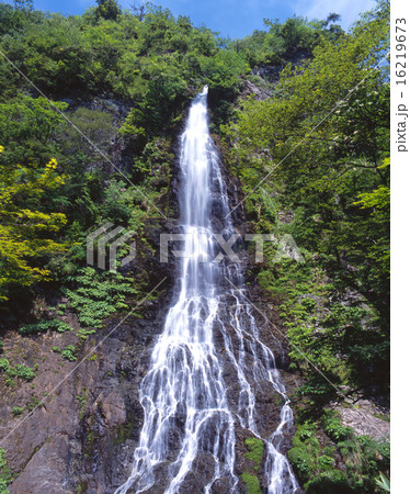 天滝(落差約100m)/「日本の滝100選」/「氷ノ山後山那岐山国定公園」/森林浴の森100選 天滝(落差約100m)/「日本の滝100選」/「氷ノ山後山那岐山国定公園」/森林浴の森100選 16219673