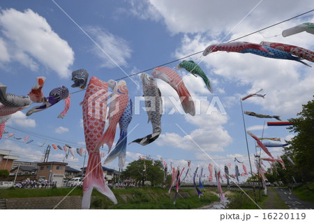 八王子　長房ふれあい端午まつり 16220119