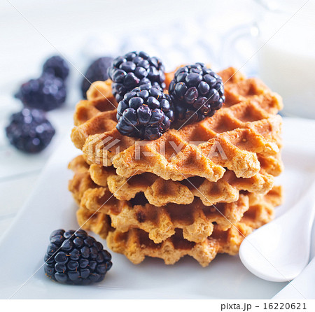 waffle waffle 16220621