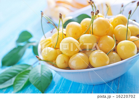 yellow cherry yellow cherry 16220702