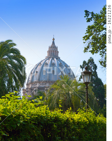 St Peter's Basilica from the Vatican Gardens St Peter's Basilica from the Vatican Gardens 16221236