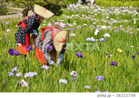 二人の花摘み娘の写真素材 [16221730] - PIXTA