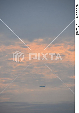 夕日、夕陽、夕焼け 16222276