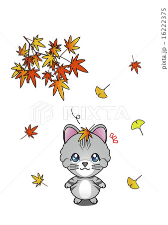 秋を感じた猫 16222375