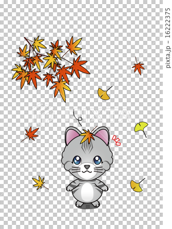 秋を感じた猫 16222375