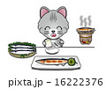 秋刀魚を食べる猫 16222376