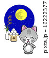 月見をする猫 16222377