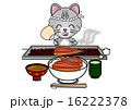 うなぎを焼く猫 16222378