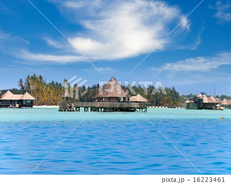 Huts in the sea and a palm tree 16223461